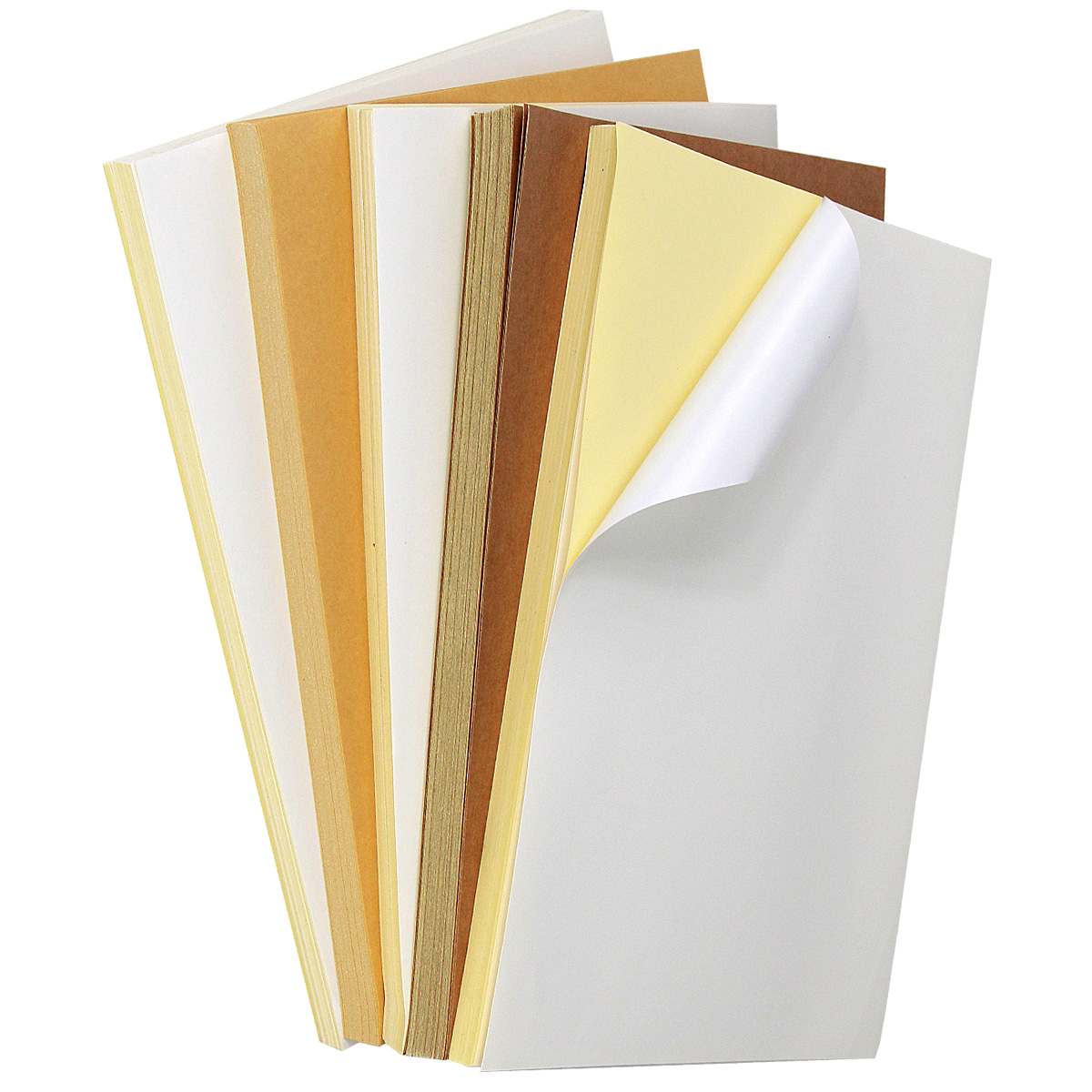 A4 Label.jpg